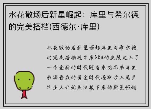 水花散场后新星崛起：库里与希尔德的完美搭档(西德尔·库里)